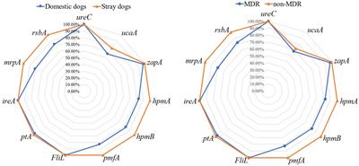 Virulence-related factors and antimicrobial resistance in Proteus mirabilis isolated from domestic and stray dogs